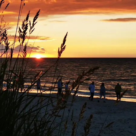 Gold B29 Let's Sea Baltic Park