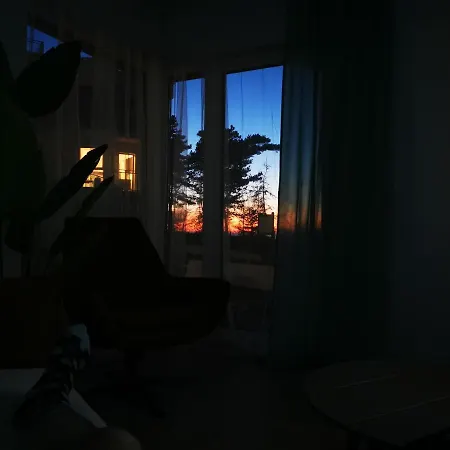 Gold B29 Let's Sea Baltic Park