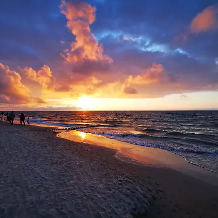 Gold B29 Let's Sea Baltic Park *