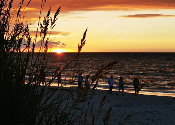 Gold B29 Let's Sea Baltic Park