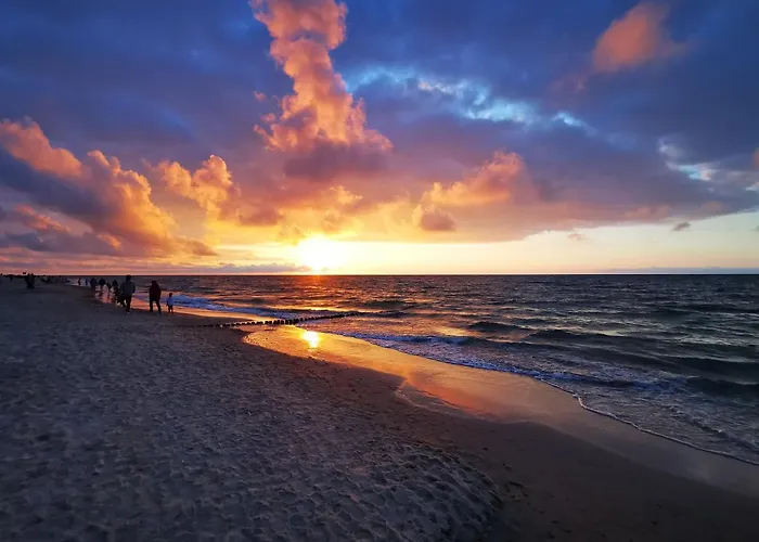 Gold B29 Let's Sea Baltic Park *